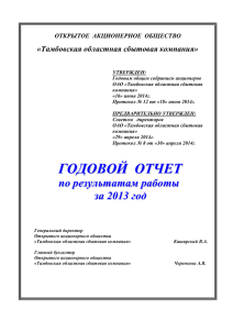 Годовой отчет общества за 2013г.