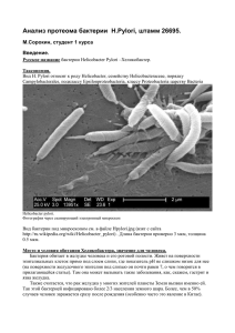 Анализ протеома бактерии H.Pylori, штамм 26695.