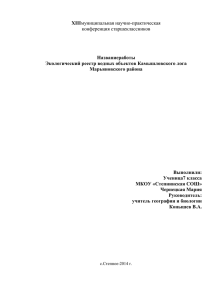 Экологический реестр озер Камышловки» (Чернецкая М.), 2014 год
