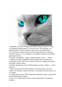 интересные факты о кошках.