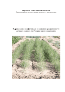 UNDP-GEF. Опыт выращивания галофитов на засоленных землях