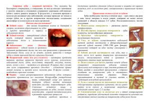 Здоровые  зубы  –  здоровый  организм.