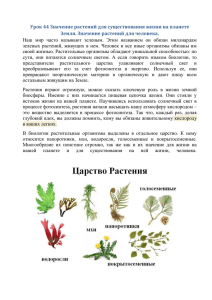 Урок 44 Значение растений для существования жизни на