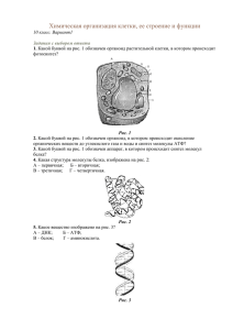 Химическая организация клетки, ее строение и функции 10