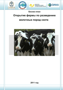Открытие фермы по разведению молочных пород скота
