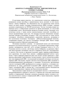 Костюченко Е. В. Научный руководитель ассист. Рудюк Т. Я. ТЕОРИЯ СТАРЕНИЯ