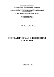 лимфатическая система - Иркутский государственный