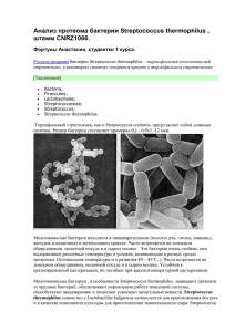 Анализ протеома бактерии Streptococcus thermophilus