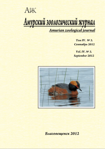 Amurian zoological journal 2201
