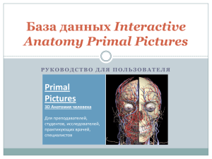 База данных Interactive Anatomy Primal Pictures руководство
