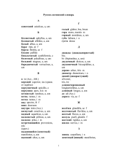 Русско-латинский словарь А азиатский asiatĭcus, a, um Б