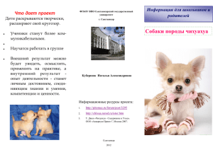 Собаки породы чихуахуа - Сыктывкарский Государственный