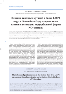Влияние точечных мутаций в белке LMP1 вируса Эпштейна