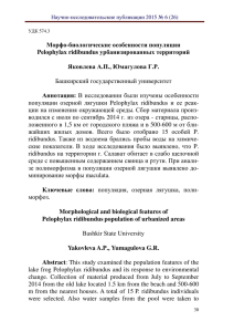 Морфо-биологические особенности популяции Pelophylax