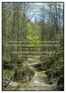 2014 год - Центр защиты леса Краснодарского края
