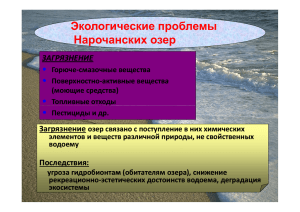 Экологические проблемы Нарочанских озер ЗАГРЯЗНЕНИЕ