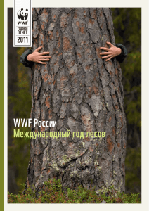 WWF России Международный год лесов