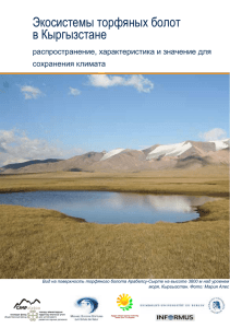 Экосистемы торфяных болот в Кыргызстане