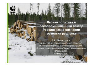 Лесная политика и лесопромышленный сектор России: какие