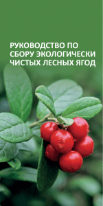 руководство по сбору экологически чистых лесных ягод