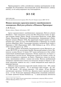 750 Новая находка красноклювого ошейникового зимородка