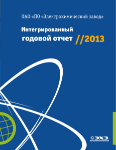 годовой отчет //2013 - Электрохимический завод