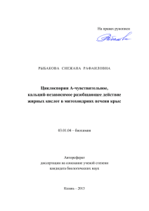 На правах рукописи - Казанский (Приволжский) федеральный