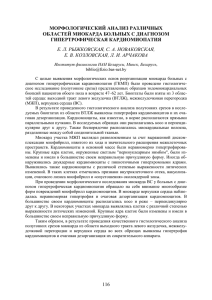 116 морфологический анализ различных областей миокарда