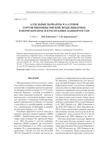 W -ГЕНОВ СОРТОВ ПШЕНИЦЫ МЯГКОЙ, ВОЗДЕЛЫВАЕМЫХ В ПЕРМСКОМ КРАЕ И В РЕСПУБЛИКЕ БАШКОРТОСТАН