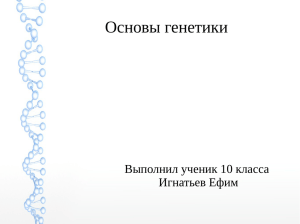 Основы генетики Выполнил ученик 10 класса Игнатьев Ефим