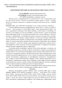 Селихова Т.Н., Бобков С.В. Электрофоретический анализ
