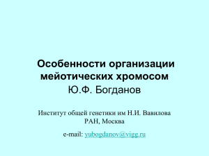 Особенности организации мейотических хромосом Ю.Ф. Богданов