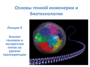 Исследования генома и транскрипции генов (pdf, 4221КБ)