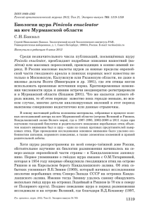 Биология щура Pinicola enucleator на юге Мурманской области