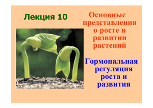 Основные представления о росте и развитии растений