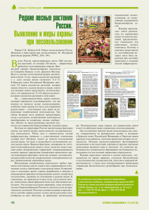 Редкие лесные растения России. Выявление и меры охраны при