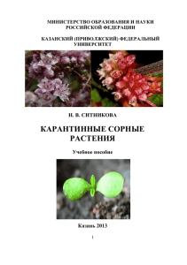 Карантинные сорные растения - Казанский (Приволжский