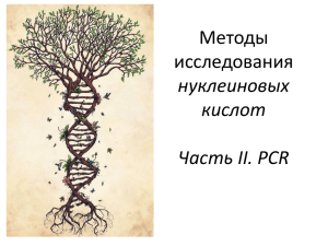 II.PCR