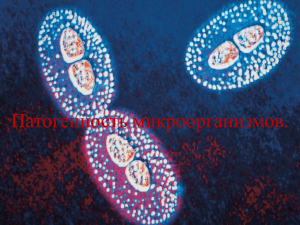 Лекция 4. Патогенность микроорганизмов и основы эпидемиологии
