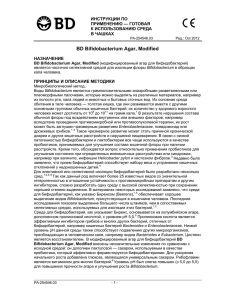 BD Bifidobacterium Agar, Modified