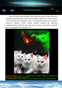 Светящиеся кошки - журнал Химия и Химики