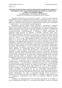 PDF - 247,7 Кб. - Белорусский государственный университет