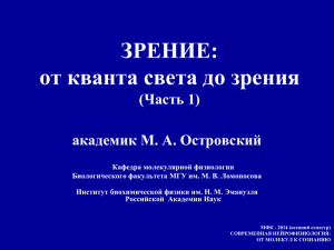 Слайд 1 - Кафедра Высшей нервной деятельности МГУ