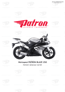 Мотоцикл PATRON BLAZE 250