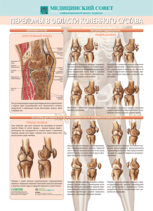 переломы в области коленного сустава