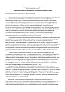 Кудрявцев Александр Александрович Отчет докторанта по теме