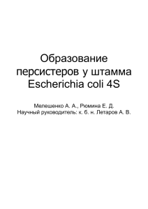Образование персистеров у штамма Escherichia coli 4S Мелешенко А. А., Рюмина Е. Д.