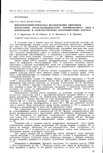 86-5-79 ( 147 kB ) - Вестник Московского университета. Серия