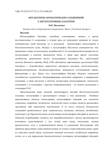 PDF - 569 Kb - Белорусский государственный университет