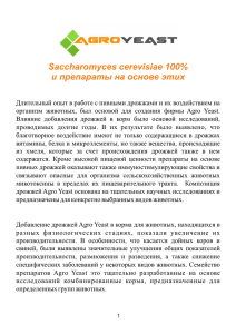 Saccharomyces cerevisiae 100% и препараты на